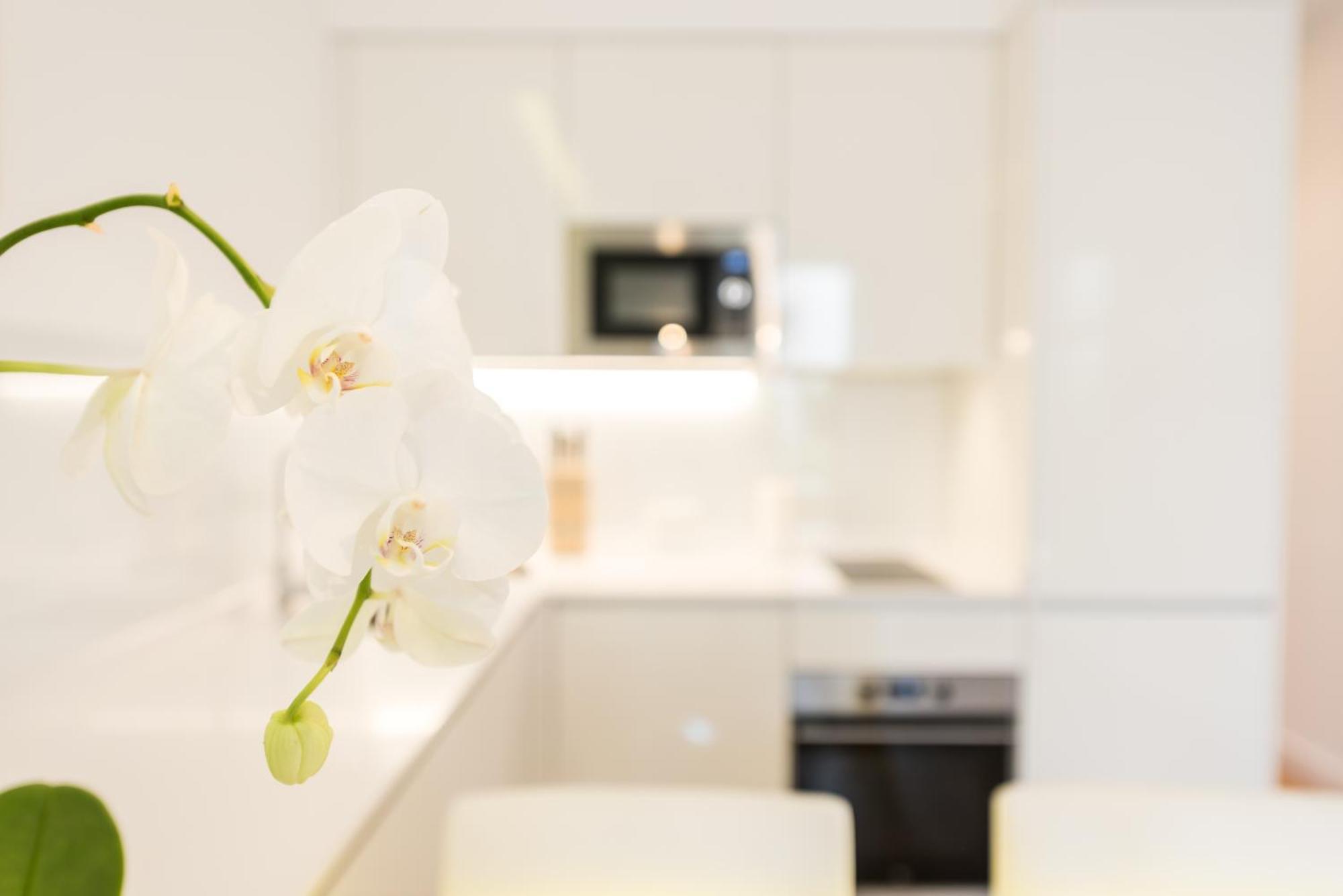 Malasana Plaza Apartman Madrid Kültér fotó
